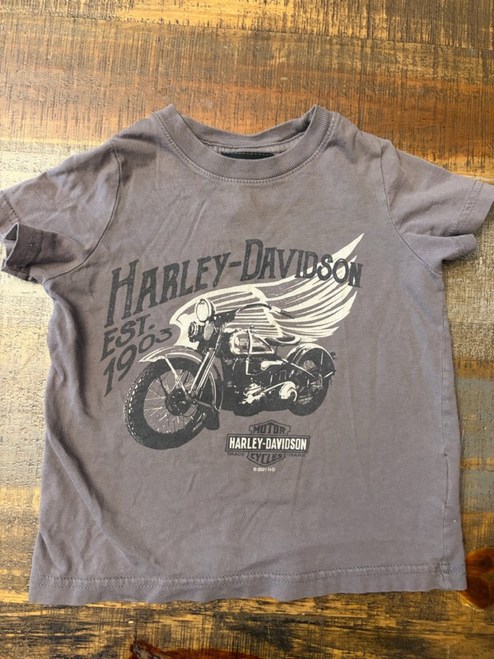 Harley-Davidson Kids Charcoal Motorcycle Graphic Tee